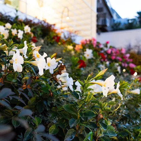 Dimora Botanica Naples