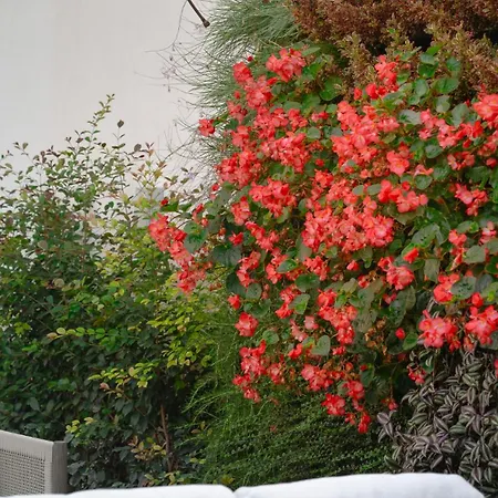Dimora Botanica Nápoles