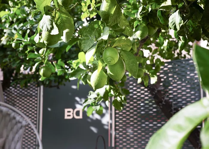 Πανσιόν Dimora Botanica