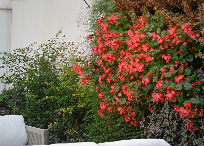 Dimora Botanica Νάπολη