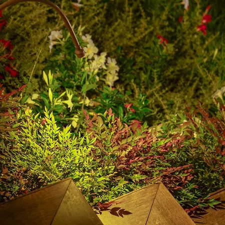 게스트하우스 Dimora Botanica