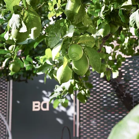 Gasthof Dimora Botanica